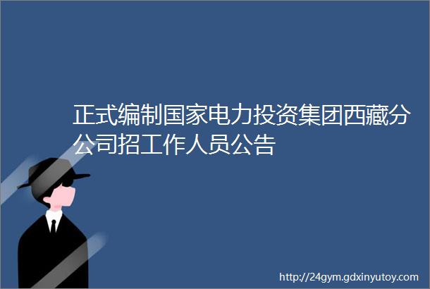 正式编制国家电力投资集团西藏分公司招工作人员公告